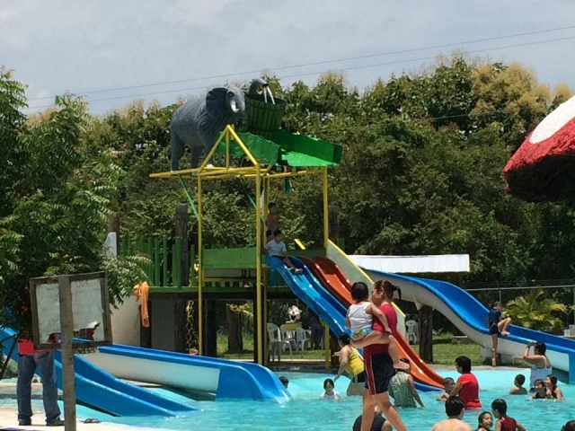 Toboganes para ninos